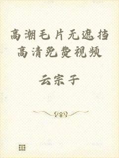 高潮毛片无遮挡高清免费视频