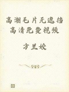 高潮毛片无遮挡高清免费视频