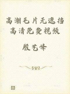 高潮毛片无遮挡高清免费视频
