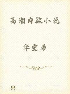 高潮肉欲小说