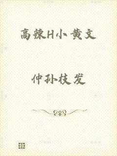 高辣H小黄文
