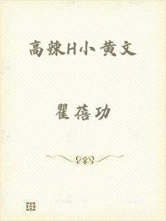 高辣H小黄文