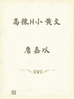 高辣H小黄文