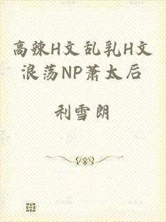 高辣H文乱乳H文浪荡NP萧太后