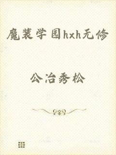 魔装学园hxh无修