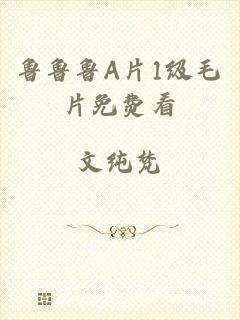 鲁鲁鲁A片1级毛片免费看