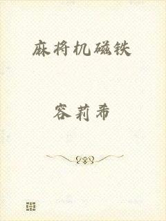 麻将机磁铁