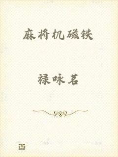 麻将机磁铁