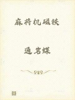 麻将机磁铁