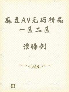 麻豆AV无码精品一区二区