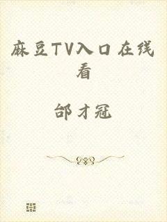 麻豆TV入口在线看