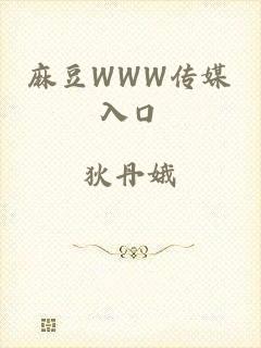 麻豆WWW传媒入口