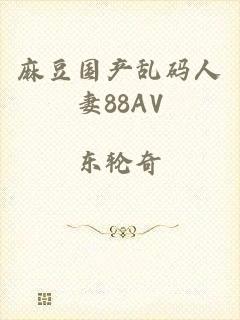 麻豆国产乱码人妻88AV
