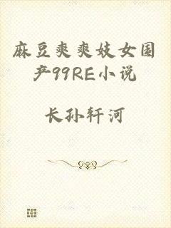 麻豆爽爽妓女国产99RE小说
