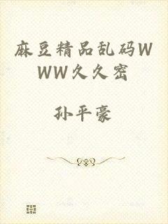麻豆精品乱码WWW久久密