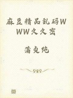 麻豆精品乱码WWW久久密