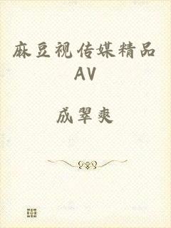 麻豆视传媒精品AV