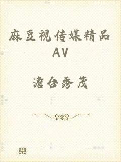 麻豆视传媒精品AV