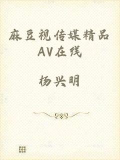 麻豆视传媒精品AV在线