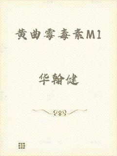 黄曲霉毒素M1