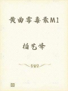 黄曲霉毒素M1