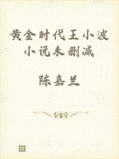 黄金时代王小波小说未删减
