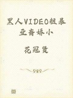 黑人VIDEO粗暴亚裔娇小