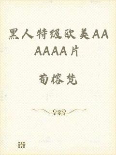 黑人特级欧美AAAAAA片