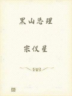 黑山总理
