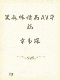 黑森林精品AV导航