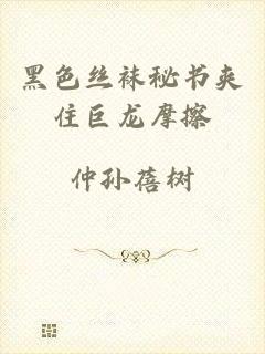 黑色丝袜秘书夹住巨龙摩擦