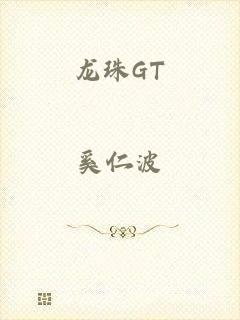 龙珠GT