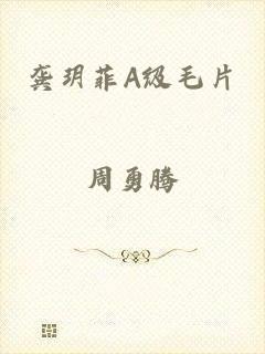 龚玥菲A级毛片