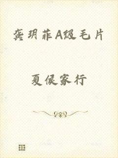 龚玥菲A级毛片