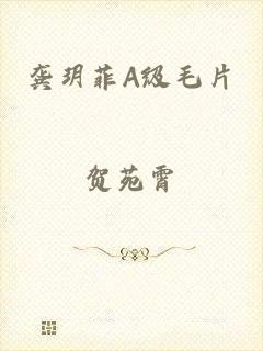 龚玥菲A级毛片