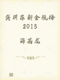 龚玥菲新金瓶梅2013
