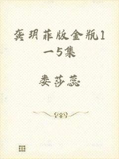龚玥菲版金瓶1一5集